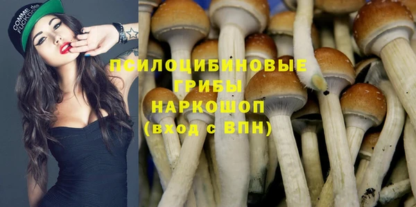 мяу мяу кристалл Надым