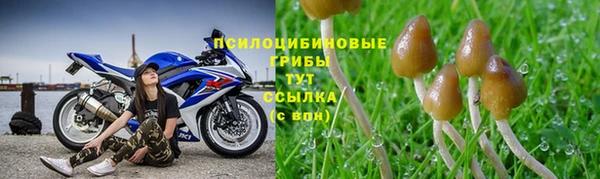 мяу мяу мука Навашино