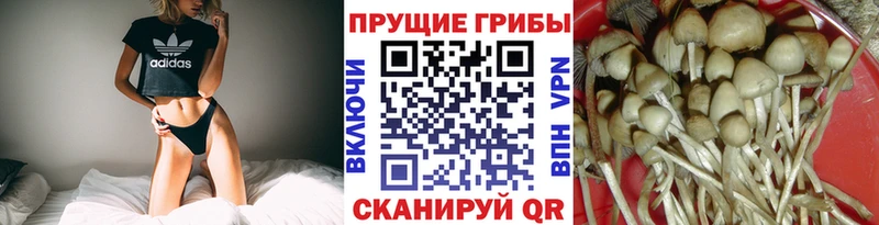 Галлюциногенные грибы Magic Shrooms  Крым 